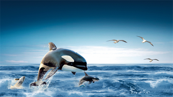 預制市政構(gòu)件(新澤西護欄)生產(chǎn)線 預制市政構(gòu)件(新澤西護欄)生產(chǎn)線